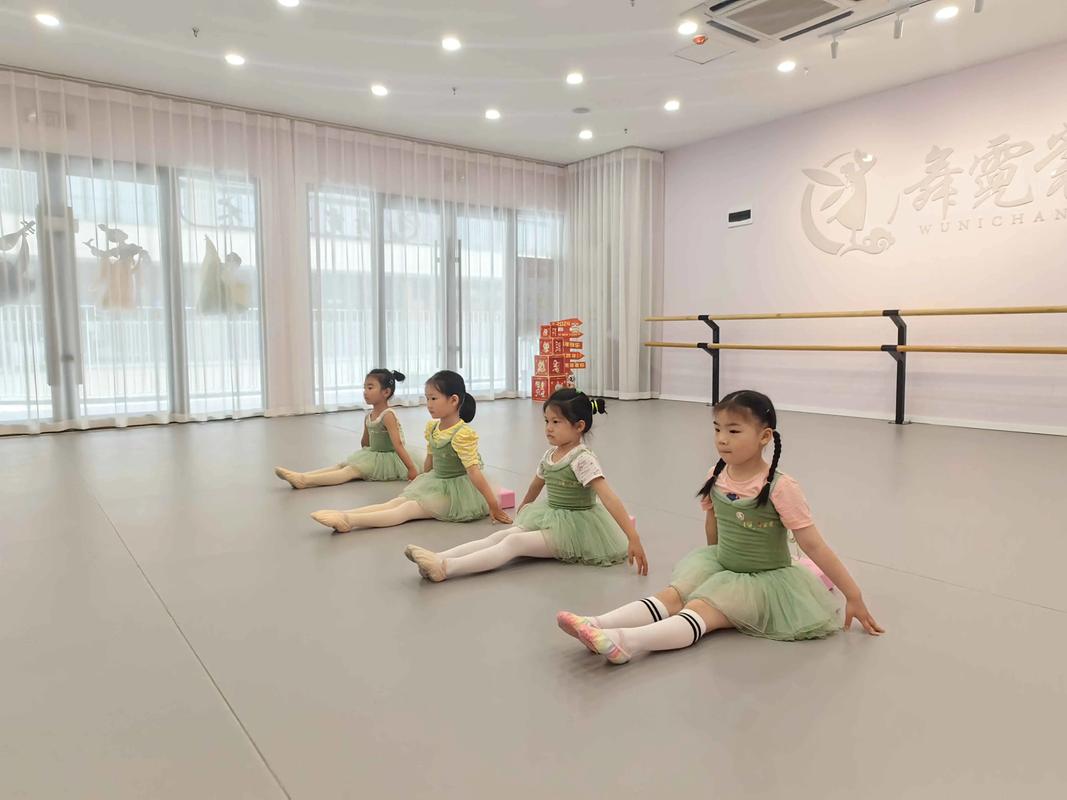 舞霓裳 用心教學(xué)，用愛育人，弘揚中國傳統(tǒng)舞蹈之美